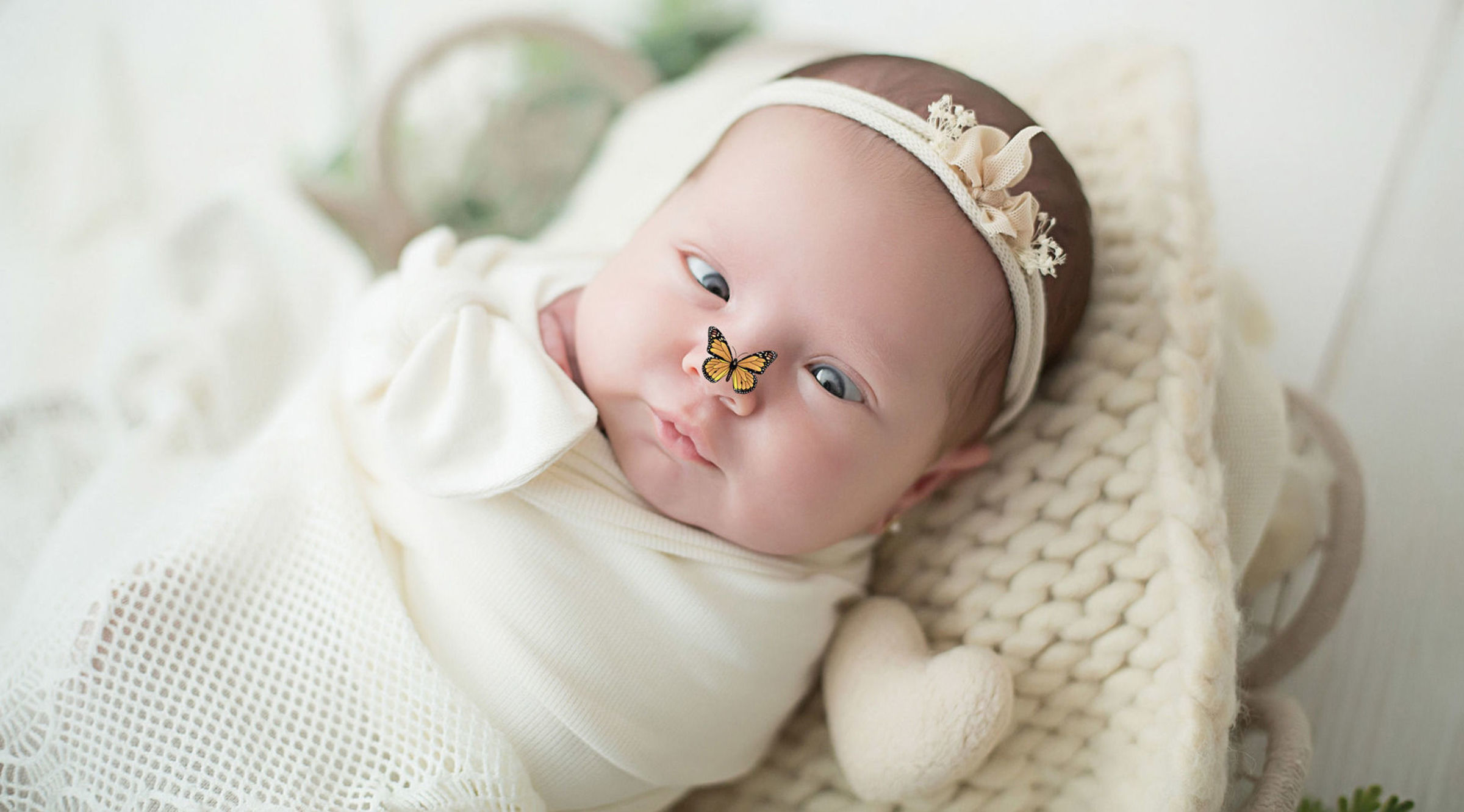 Foto de Vicentini Fotografias 4