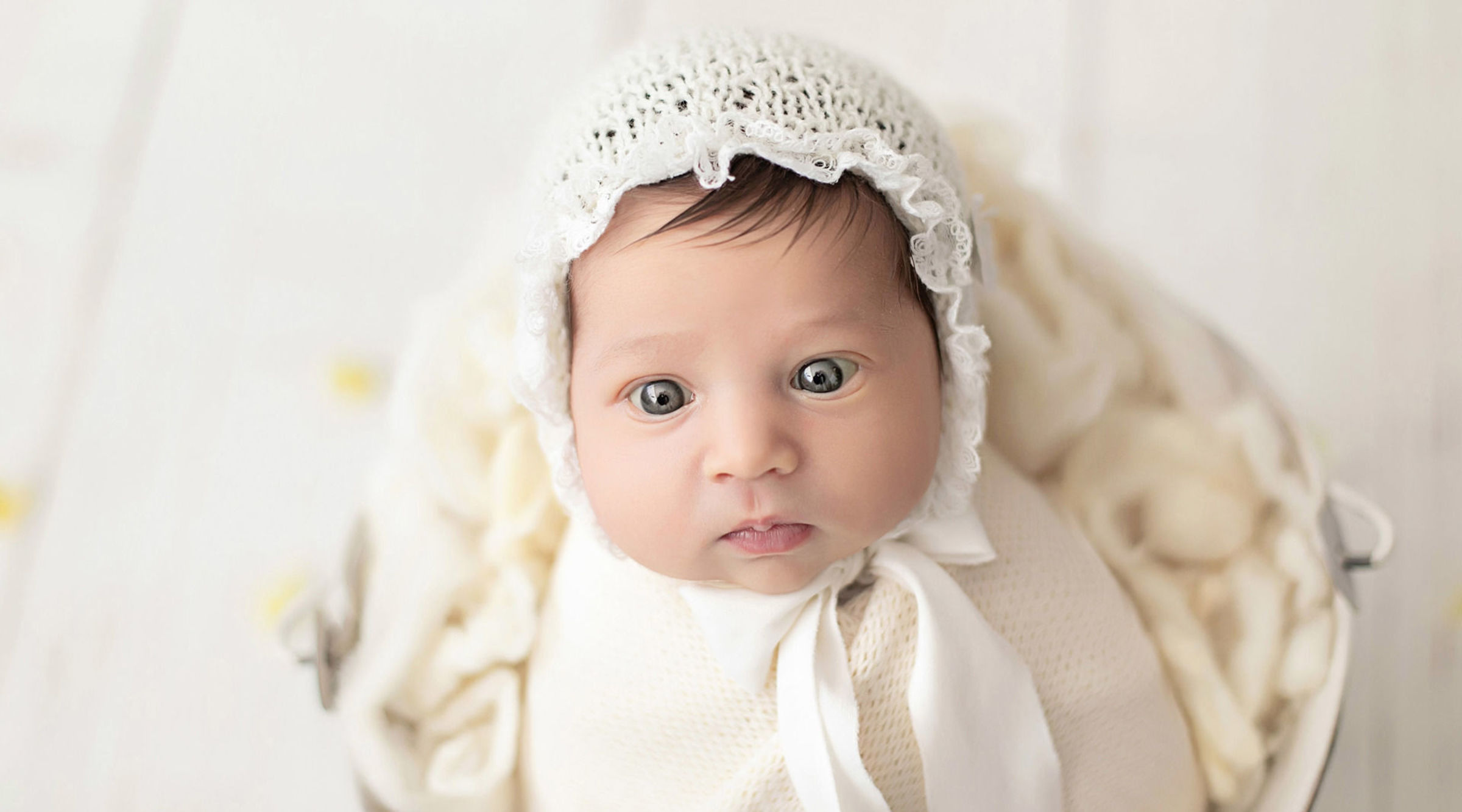 Foto de Vicentini Fotografias 7